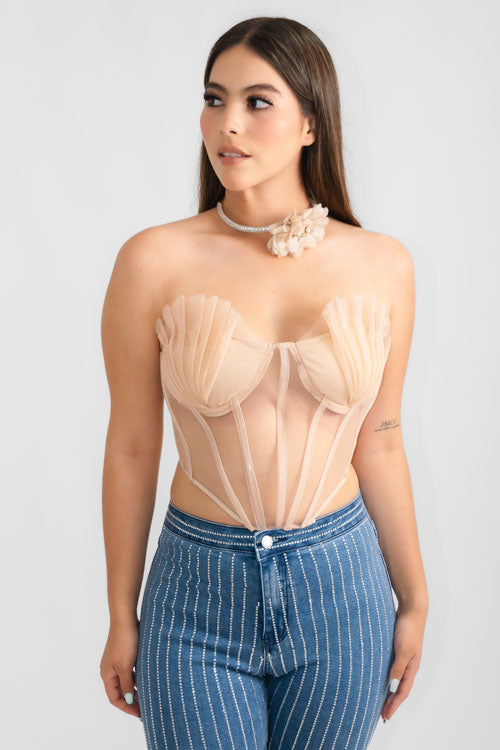 Top Transparencias Pliegues.