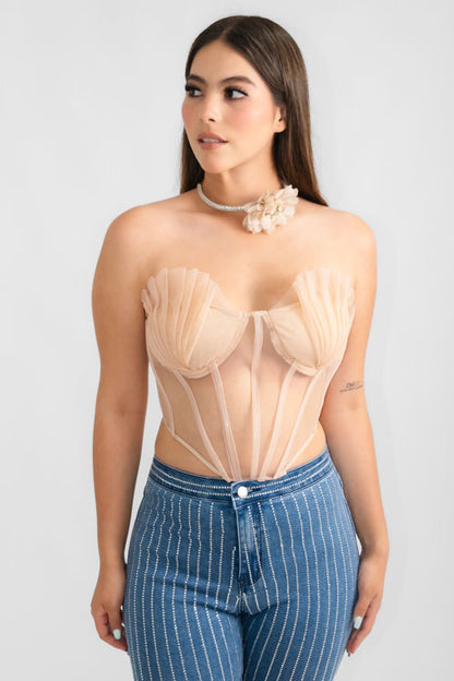 Top Transparencias Pliegues.