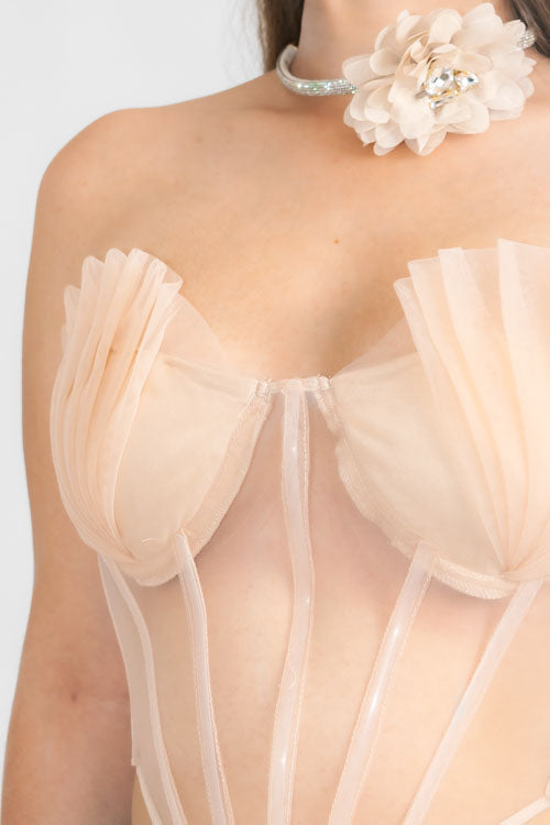 Top Transparencias Pliegues.